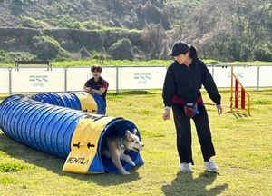 경기도, ‘반려마루 화성’ 교감 프로그램 4월부터 확대 운영