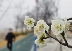 “봄만 되면 더 힘들다”…경기도, 상담부터 치료비까지 지원