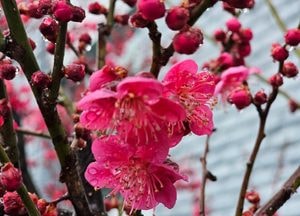 [오늘 날씨] 경기·인천(31일, 화)…흐리다 늦은 오후부터 구름 많아져