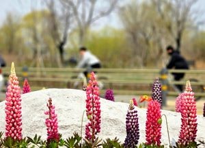 [내일 날씨] 출근길 안개 주의…낮 최고 19℃ 포근, 오후 빗방울