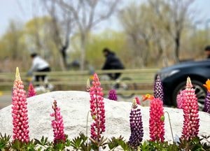 [오늘 날씨] 경기·인천(2일, 목)…초미세먼지 ‘나쁨’ 일교차 커