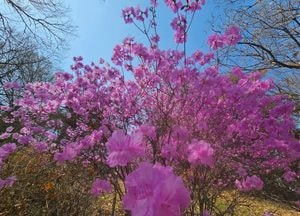 [오늘 날씨] 경기·인천(3일, 금)…맑다가 늦은 밤 비