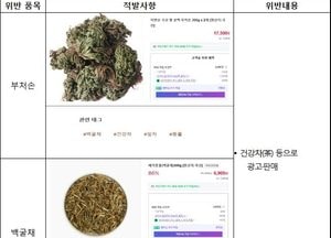 식용불가 농·임산물 ‘부처손·애기똥풀’ 건강차로 판매…식약처 2곳 적발