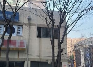 김포 풍무동 동물판매업체서 화재...도마뱀 50여 마리 폐사