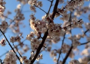 [오늘 날씨] 경기·인천(5일, 일)…낮 구름 많고, 늦은 밤 비
