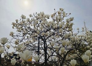 [오늘 날씨] 경기·인천(6일, 월)…오전 비, 낮부터 맑아져