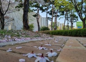 [내일 날씨] 수도권 밤사이 비…월요일 낮부터 쌀쌀, 모레 아침 기온 ‘뚝’