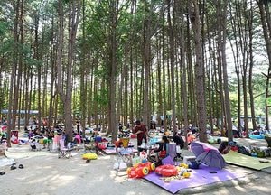 안산시, 공원 5곳 피크닉존 운영…10월 말까지 소형 그늘막 허용