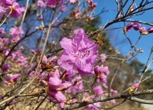[내일 날씨] 아침 영하권 ‘쌀쌀’…일교차 15℃ 이상, 9일 오전 비