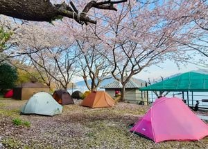 [오늘 날씨] 경기·인천(8일, 수)…아침 안개·큰 일교차, 밤 흐림