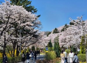 [오늘 날씨] 경기·인천(11일, 토)…아침 안개, 차차 맑아져