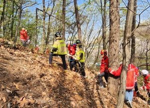 인천시, 봄철 산불 대응 강화…유관기관 합동훈련 실시