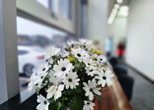 [내일 날씨] 내일 수도권 낮 25도↑…일교차 커 건강관리 필요
