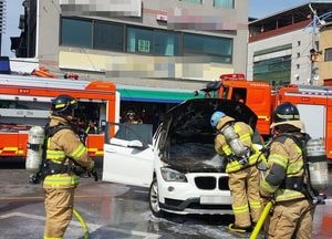 양평 양수리서 수입 승용차 화재…17분 만에 진화