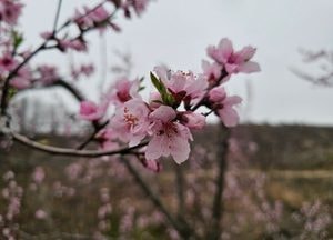 [오늘 날씨] 경기·인천(14일, 화)…봄날씨 이어져, 미세먼지 ‘보통’
