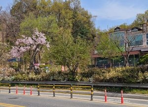 [世上萬事(42)] 두 번의 선물
