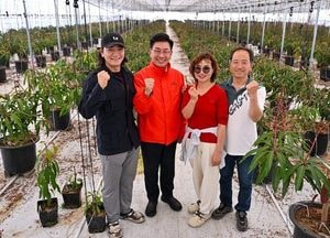 양평서 애플망고 재배 ‘눈길’…전진선 군수 “교육과 지원 이어갈 것”