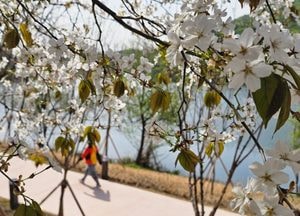[내일 날씨] 낮 28℃ 안팎…큰 일교차·건조특보 속 화재 유의