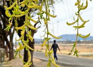[내일 날씨] 건조특보 속 낮 27℃ 더위…일교차 최대 20℃