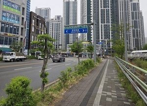 안양시, 안양천서로 가로수 개선 사업 추진...시민 중심 녹색복지 정책 확대
