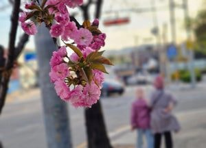 [오늘 날씨] 경기·인천(22일, 수)…종일 공기질 나쁨, 오후부터 구름 많아