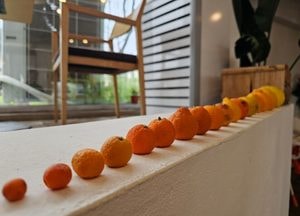 [내일 날씨] 구름 많다 늦게 맑음…건조·강풍 겹쳐 화재 주의