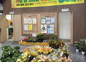 꽃 소비 살아났다…경기도 할인쿠폰에 화훼 매출 22억7800만원