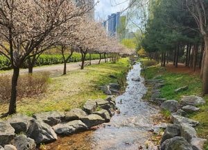 인천환경공단, 영종 실개천 유지용수 재개…하수 재이용 친환경 수변 복원