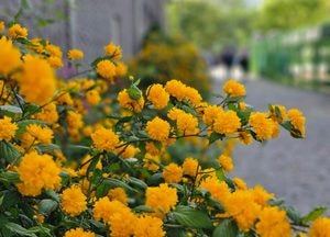 [오늘 날씨] 경기·인천(24일, 금)…낮 최고 26도 초여름 더위, 일교차 주의
