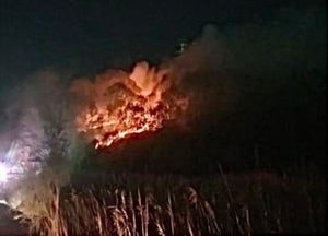 화성 송산면 야산서 한밤 화재…4시간30분 만에 꺼져