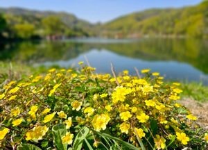 [내일 날씨] 수도권 주말 대기 매우 건조…낮 최고 27℃