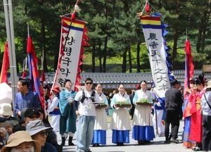 [사진으로 봤다] 봄을 뜯어 담다…양평 용문산 산나물축제