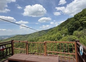 용인특례시, 용인자연휴양림 짚라인 재개장...1246m·6개 코스 갖춰