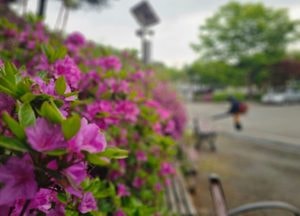 [내일 날씨] 건조특보 지속…일교차 20℃ 안팎 벌어져
