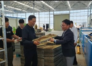 ‘기후변화, 못자리 실패 걱정 끝’...김포시 자동 육묘장 ‘든든한 농가 지원군’