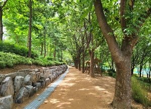 경기도, 용인 고기근린공원 등 노후 도시숲 13곳 리모델링 추진