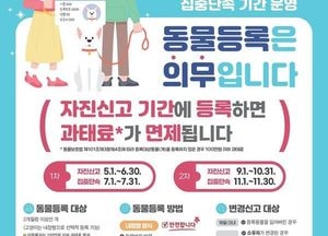 수원특례시, 동물등록 자진신고 기간 운영