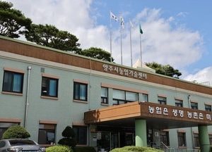 양주시, ‘오이의 날’ 맞아 농산물 특판전 개최
