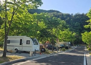 청량산 수원캠핑장, 시민 힐링 아지트 됐다‥ 이용객 65%가 수원시민