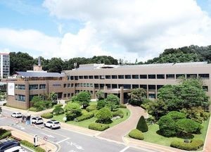 파주시, 2026년 생태계교란 야생식물 제거 지원단체 선정