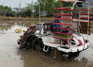 동두천시 농촌지도자연합회, 공동경작 모내기 행사 개최⋯풍년농사 기원