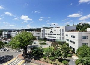 가평청소년문화의집, 독도 디지털체험관 운영