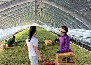양평군, 작목별 맞춤형 안전 관리 실천 시범사업 성료…농업인 안전성 확보