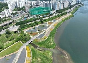 남양주시, 한강공원 삼패지구 꽃단지 조성… 양귀비·수레국화 향연