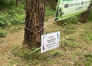 인천 서구, 러브버그 선제적 대응 및 집중 방제기간 운영