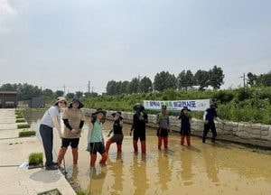 평택시, 고품질 쌀 생산 위한 ‘벼 신품종 전시 및 병해충 예찰포’ 조성