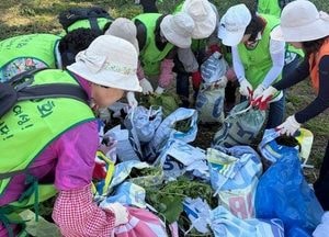 남양주시, 남양주시자원봉사센터 주관으로 프라움악기박물관 일대 공원에서 외래종
