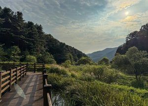 경기도, 수리산도립공원 제2주차장 조성 예산 확보. 2027년말 준공 목표