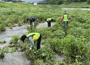 광주시지속가능발전협의회, 청석공원서 생태교란종 제거 활동 실시