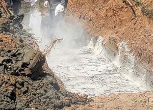 고양시, '식물 코로나' 과수화상병 긴급방제에 총력